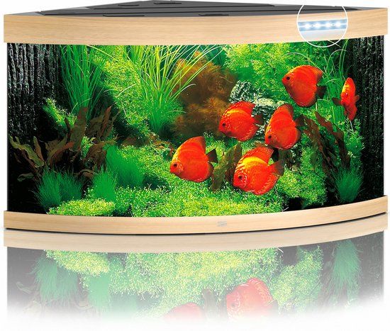 Gebr de boon Juwel Aquarium Trigon 350 LED Licht Hout