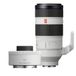 Sony FE 100-400mm f/4.5-5.6 GM + 2x Teleconverter