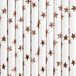 PartyDeco Drinkrietjes - papier - 30x - wit/rose goud sterren - 19,5 cm