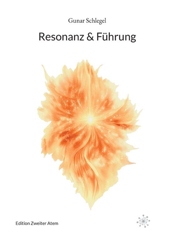 Resonanz GPSR Kontakt Resonanz & Führung Paperback