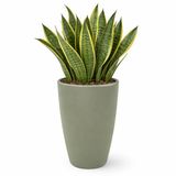 Mega Collections Plantenpot / bloempot Essence Egg pot - kunststof - olijf groen - binnen/buiten - D45 x H66 cm