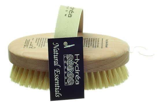 Hydrea London Professionele dry brush met afgeronde borstel