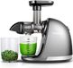 AMZCHEF Presse-agrumes lente - Masticating Presse électrique pour fruits et légumes - Délicat à mâcher Pas besoin de filtrer - Centrifugeuse avec 2 tasses et brosse - Argent