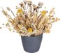 Unyqoos® Vraies fleurs séchées blanc ensemble de fleurs séchées naturelles pour l'artisanat, la décoration intérieure et de mariage, pétales et fleurs d'artisanat pour cartes de scrapbooking en résine DIY