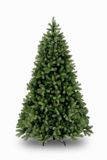 National Tree Company Bayberry Kunstkerstboom - 229 cm - Groen - Ø 147 cm - 1.867 Tips - Metalen Voet