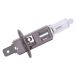 SPAHN ampoule à incandescence "h1" headlight bulb 12v 55w h1 p14.5s