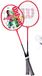 Wilson Badminton 2 Player Gear Set