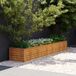 Maison Exclusive - Rehausseur de jardin, 291 x 50 x 36 cm, finition acier Corten