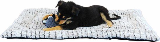 Jack and Vanilla Snakeskin Bench Kussen - S - 40x40cm - Polyester - Hond