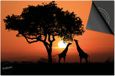 Dietrix Inductie Beschermer - 81x52 cm - Giraffes Zonsondergang Afrika