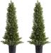 Plantes artificielles, deux ensembles, conçus comme des cèdres, 914 mm de haut. Arbustes artificiels de sapin, ressemblent à de vraies plantes en soie, faciles à assembler. Convient pour la décoration de jardin avant, terrasse, jardin, balcon, jardin arrière, intérieur, bureau