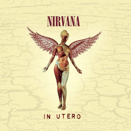 Nirvana - In Utero (20th Anniversary Edition) - CD