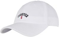 Cayler & Sons C&S WL Forever Six Curved Cap white/mc one size Pet - Wit
