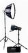 Nanlite Forza 60B II Bi-color Dual Kit with Case, Stand, Fresnel & Softbox