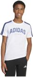 Adidas Codes Collegiate Graphic T-shirt Wit
