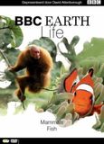 Life BBC Earth Life / Series / 7 / N/A