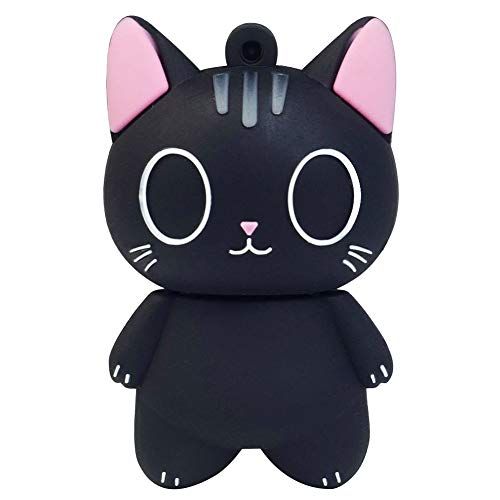 leizhan 16GB USB Stick USB-Flashstation Computer Geheugenstick Schokbestendig Geweldig cadeau Hoge snelheid (Zwarte kat,16GB)