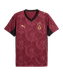 PUMA Galatasaray Istanbul Maillot 3rd 2025/2026 Rouge C03, pointure 2XL, Hommes, Supporters - 11teamsports