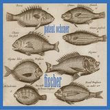 Fischer Patent Ochsner - Fischer (CD)