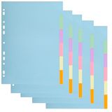 Exacompta - Ref. 1606SE - Pak van 5 tabbladen van gerecycled pastelkarton 170g/m2 met 6 gekleurde tabs - A4-formaat
