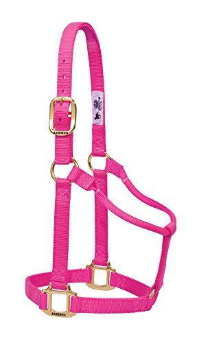Weaver Leather Original Non-Adjustable Nylon Horse Halter, Large, Diva Pink