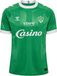 Hummel Functioneel shirt groen / wit