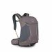 Osprey Hikelite 28 Unisex Rugzak voor Volwassenen - 28 Liter - Nylon/Polyester - Grijs/Paars