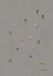 Fine Little Day Affiche Skiers 50x70 cm Gris