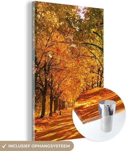 MuchoWow® Glass Painting 100x150 cm - Acrylic Glass Painting - Forest - Autumn - Seasons - Rural - Photo on Glass - Paintings