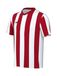 NIKE Functioneel shirt 'Division V' rood / zwart / wit