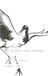 White Crane Head Massage