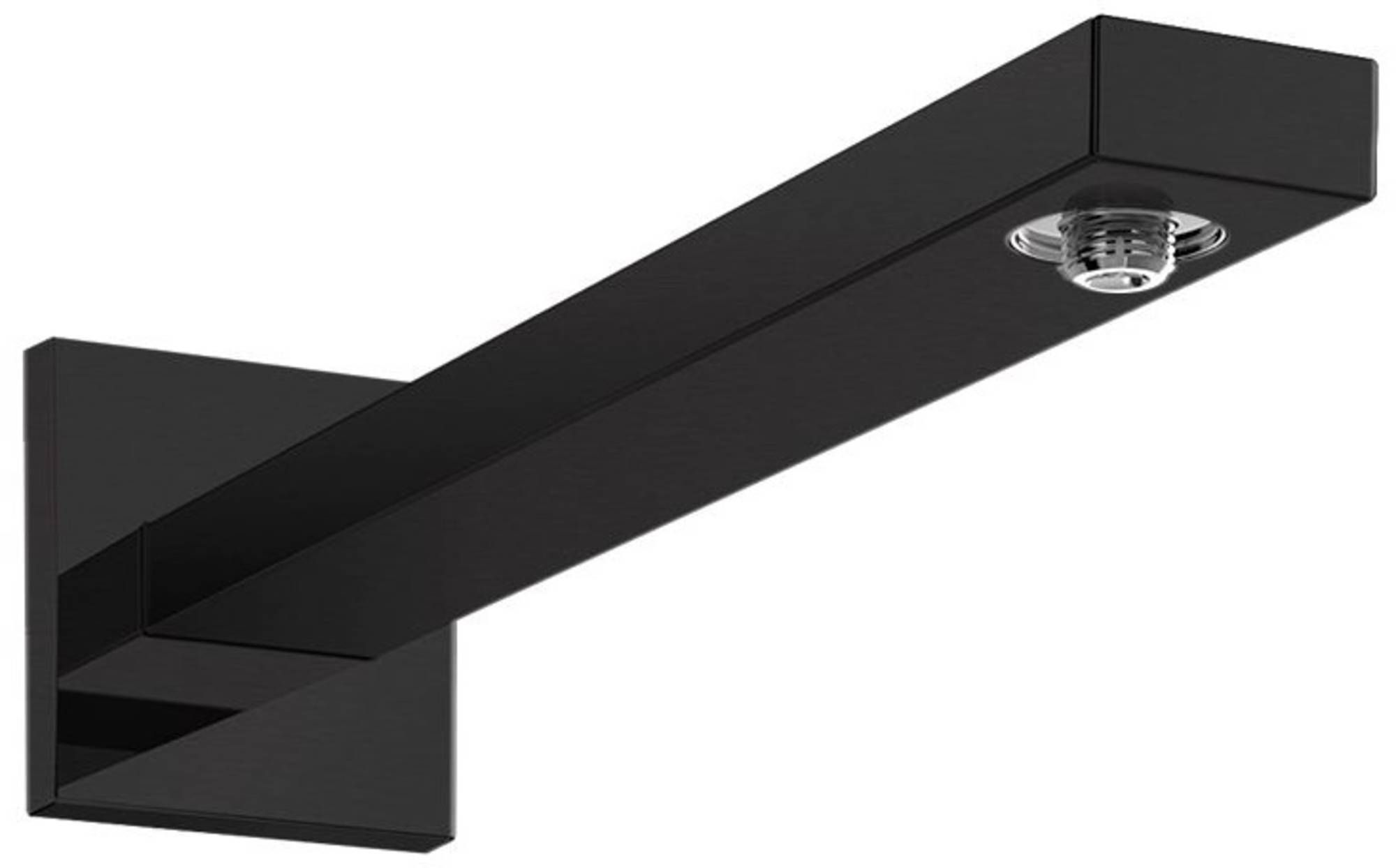 Hansgrohe Douchearm Mat Zwart - Messing - 4059625266168