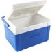 Ragot Hard Cooler 5L