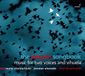 The Glossa Maria Cristina Kiehr, Jonatan Alvarado & Ariel Abramovich - The Josquin Songbook: Music For Two Voices And Vihuela (CD)
