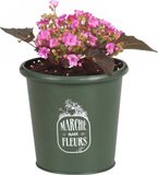 Sunnydays Plantenpot - Zink - Legergroen - D14 x H13 cm