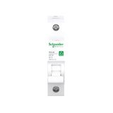 Schneider Electric Stroomonderbreker RESI9 1P 10A B 6KA, R9F23110