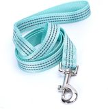Nobleza Hondenriem Reflecterend - Nylon - 120 cm x 2 cm - Mint/Lichtblauw