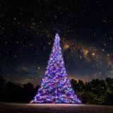Fairybell Pro Smart Magic kerstboom | 800 cm | 1536 LED | RGBW