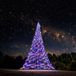 Fairybell Pro Smart Magic kerstboom | 800 cm | 1536 LED | RGBW