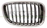 PRASCO BM5002003 frontgrillspoiler