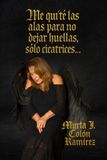 Me quite las alas para no dejar huellas solo cicatrices