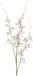 Mica Decorations Kunstbloem Orchidee Floristic - H95 cm - wit