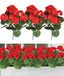Merkloos Omgoods - 3 Stuks Realistische Kunstmatige Geraniums voor Buiten en Binnen