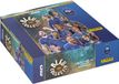 PANINI FOOTBALL FEDERATION 2025 TC Cartes à collectionner boîte de boosters