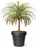 Mega Collections Plantenpot/bloempot - Kunststof - Zwart - Buiten - D30 x H27 cm