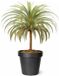 Mega Collections Plantenpot/bloempot - Kunststof - Zwart - Buiten - D30 x H27 cm