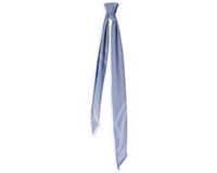 Liu Jo Logo - Scarf Sjaals Dames - Lichtblauw - Maat ONESIZE