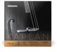 D'Addario Kaplan Cello Single String (Do) - 4/4 Size - Medium