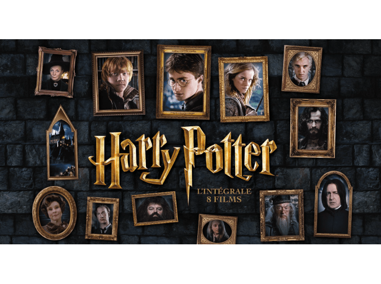 Harry Potter: The Complete 8-Film Collection (DVD)