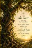 I am the Vine: A Scripture and Gratitude Journal